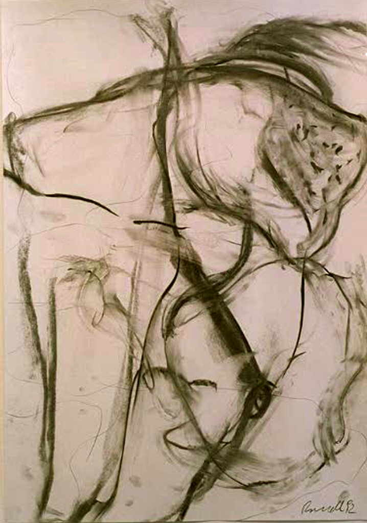 Brandl Herbert 
untitled, 1992
charcoal / paper
100 x 70 cm