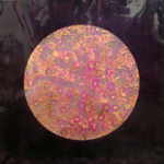 DEWITT Zos 
"Spheroid", 2007 
oil, Schlagmetall und Polyesterharz auf Kunststofffolie 
 100 x 100 cm  
 
please click the image to enlarge