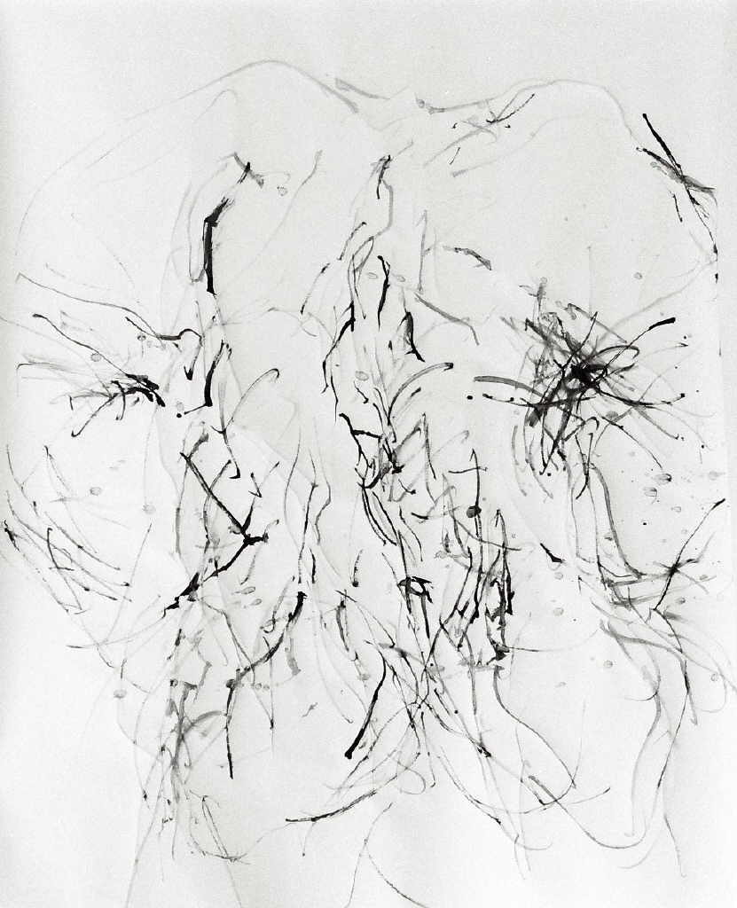 Franke Karin 
from the series "Spuren", 2005
mixed media / paper
150 x 100 cm