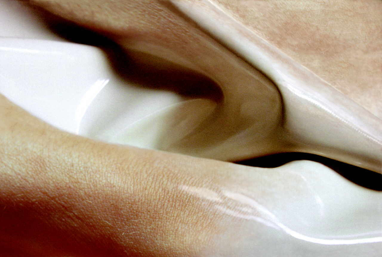GÃ¶ltl Michaela 
"transformation", 2002
Digitaldruck auf Hartschaumplatte kaschiert, mit UV-Schutzfolie laminiert
AbbildungsgrÃ¶ÃŸe 75 x 104 cm Hartschaumplatte 100 x 134 cm