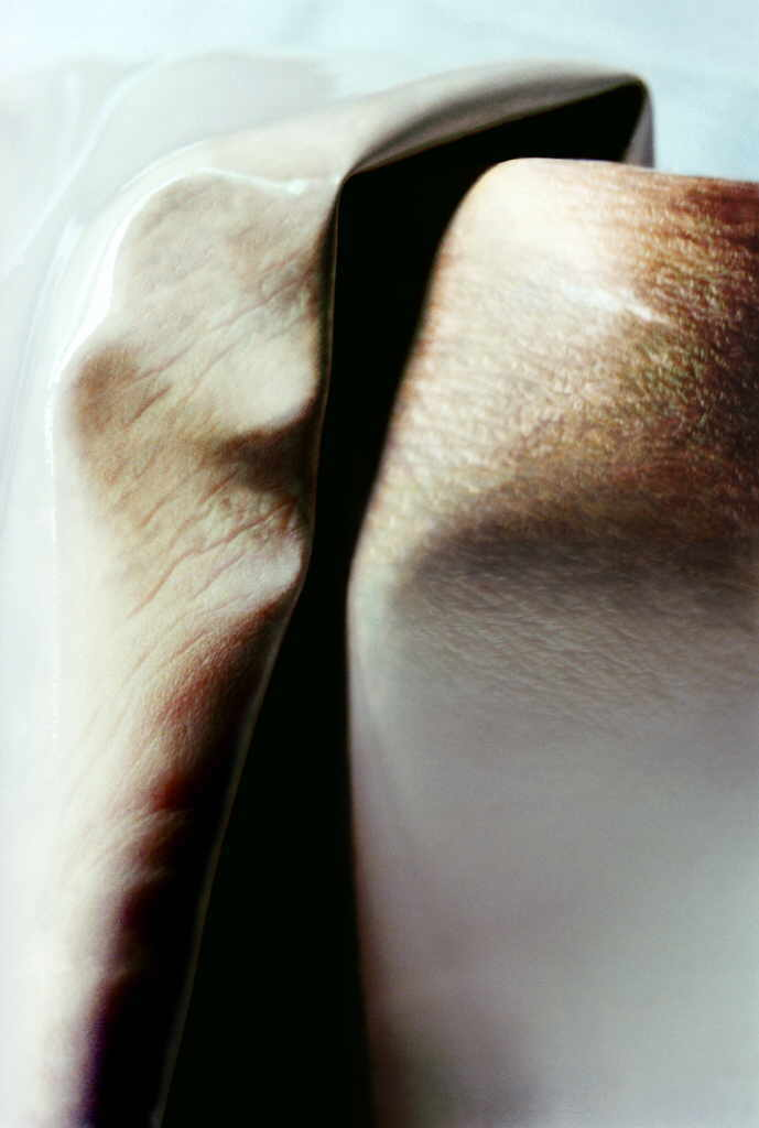 GÃ¶ltl Michaela 
"transformation", 2002
Digitaldruck auf Hartschaumplatte kaschiert, mit UV-Schutzfolie laminiert
AbbildungsgrÃ¶ÃŸe 104 x 75 cm Hartschaumplatte 134 x 100 cm