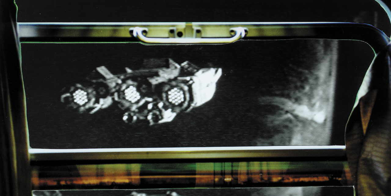 GÃ¶ltl Michaela 
aus "mind the gap" mit Christa Zauner, 2002
fotografÃ­a auf Aluminium kaschiert mit UV-Schutzfolie laminiert
70 x 130 cm