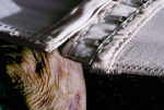 GÃ¶LTL Michaela 
"on the verge", 2002 
Digitaldruck auf Hartschaumplatte kaschiert, mit UV-Schutzfolie laminiert<br />edition: 5 pieces 
 80 x 99 cm  
 
please click the image to enlarge
