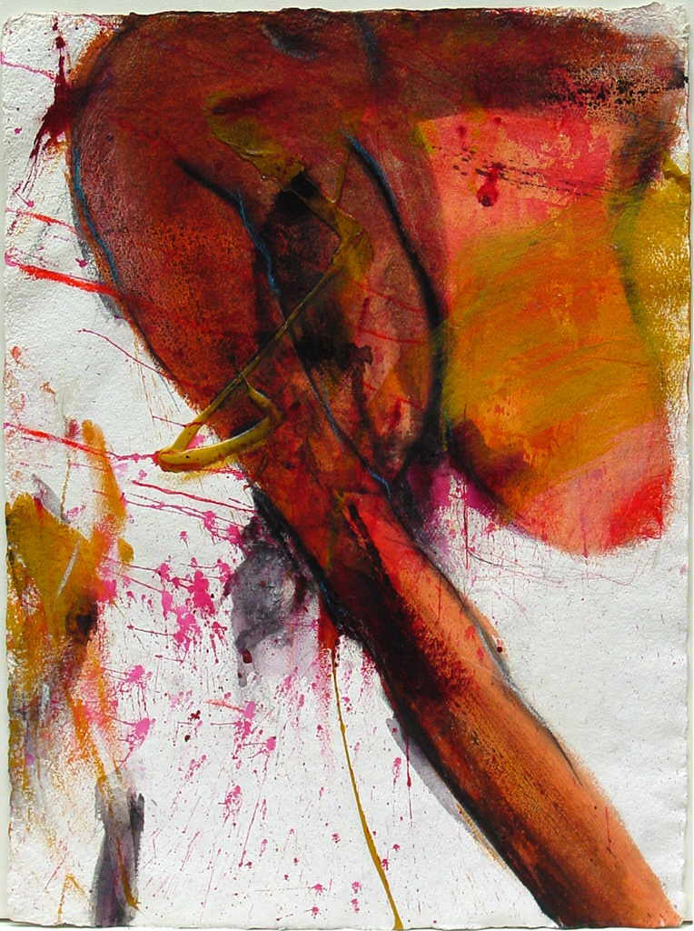 Janele Lui 
"Das lÃ¤cheln eines Vogels", 2005
tÃ©cnica mixta / papel
70 x 50 cm