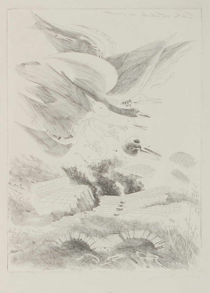 Lehmden Anton 
"Vogel Ã¼ber aufgebrochener Landschaft", 1978
Radierung / BÃ¼tten
PapiergrÃ¶ÃŸe 0 x 0 cm