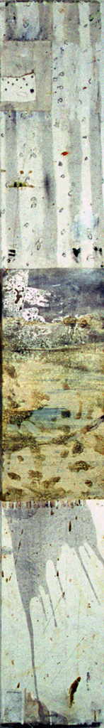 Rausch Kevin A. 
"Emotional Landscape", 2003
técnica mixta / madera
200 x 30 cm