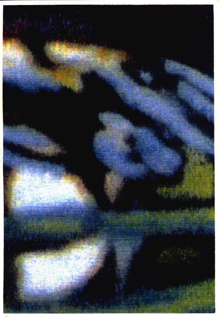 Unzeitig Franz 
aus "Konzert der 510 GlÃ¼ckwunschkarten", 1996
tÃ©cnica mixta / papel hecho a mano
21 x 14 cm