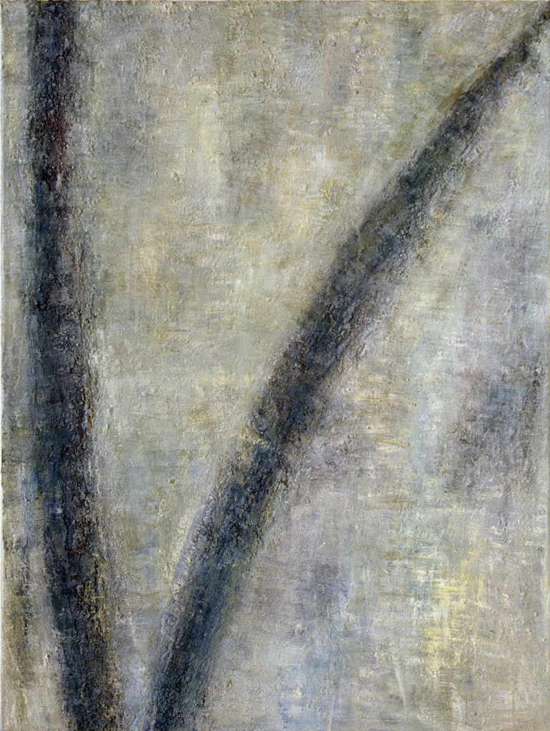 Wydler Mirjam 
de la serie "Rohr", 2002
tÃ©cnica mixta / tela
80 x 60 cm