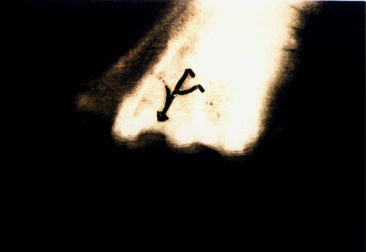 Zauner Christa 
"Hexentanz", 1995
photography
30 x 44 cm
