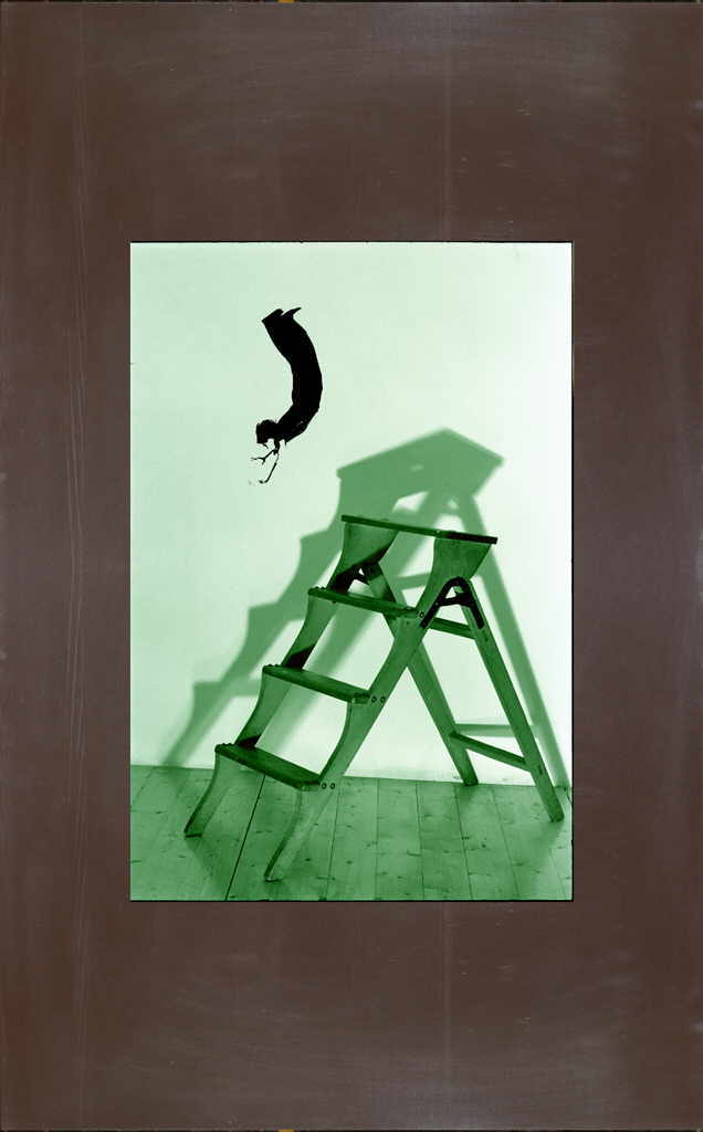 Zauner Christa 
"GlÃ¤nzend-Matt", 2002
Cibacrome, copy mounted on Aluminium
FotogrÃ¶ÃŸe 45 x 30 cm AlugrÃ¶ÃŸe 85 x 50 cm